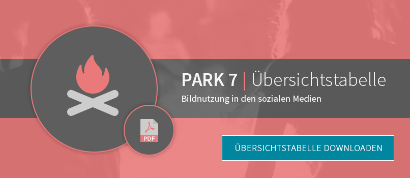 bildnutzung-soziale-medien-uebersicht