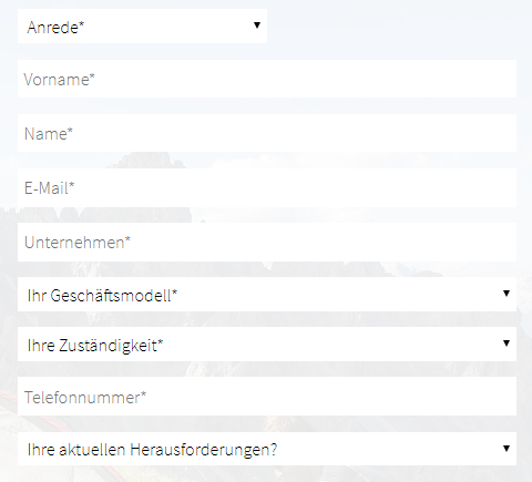 dsgvo-formulare-inbound-marketing-beispiel-park-7