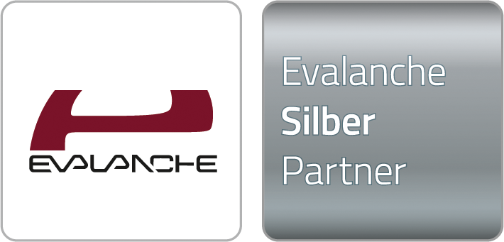 Evalanche-Silber-Partner